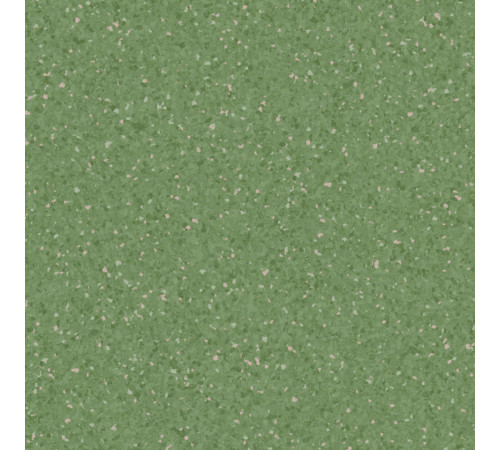 Линолеум Tarkett Primo Premium - Primo DARK GREEN 0681