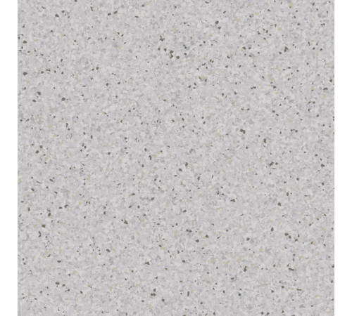 Линолеум Tarkett Primo Premium - Primo PURE GREY 0652