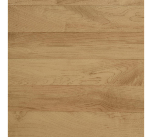 Лінолеум Tarkett OMNISPORTS V35 - Maple MAPLE