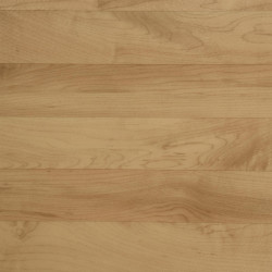 Лінолеум Tarkett OMNISPORTS V83 - Maple MAPLE