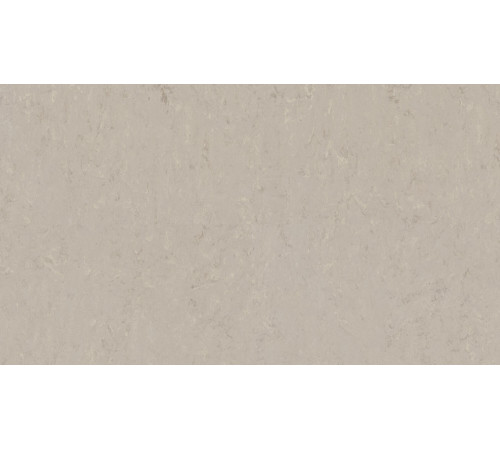 Линолеум Tarkett VENETO xf²™ (2.0 mm) - Veneto BURLAP 911