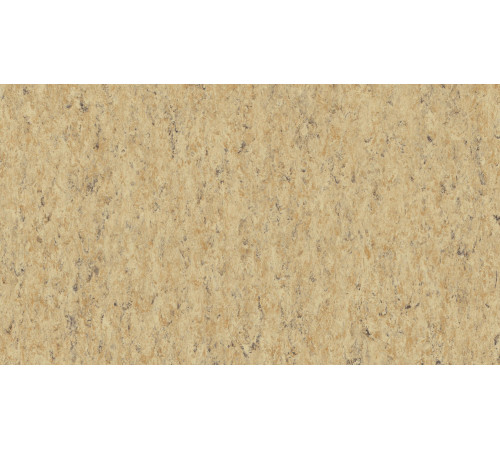 Линолеум Tarkett VENETO xf²™ (2.0 mm) - Veneto CORK 679