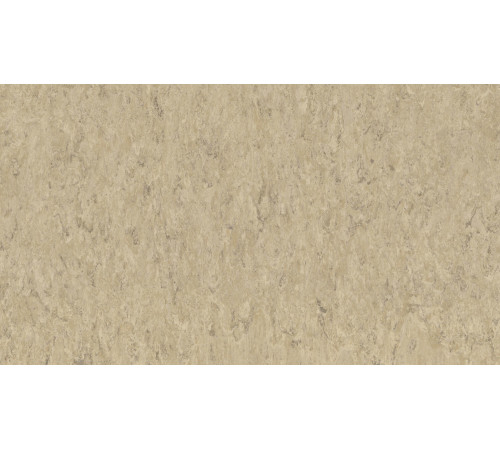 Линолеум Tarkett VENETO xf²™ (2.0 mm) - Veneto ECRU 711