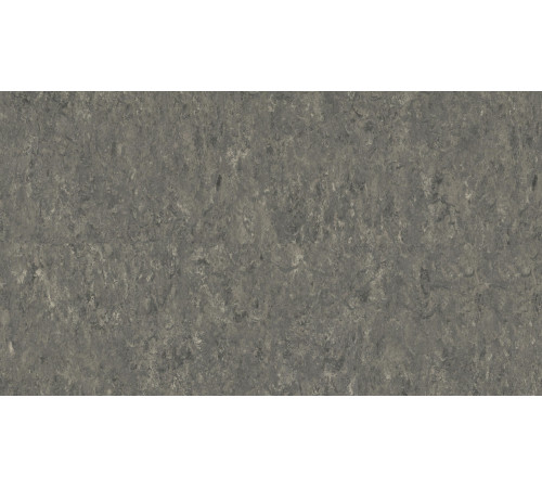 Линолеум Tarkett VENETO xf²™ (2.0 mm) - Veneto SMOKE 608