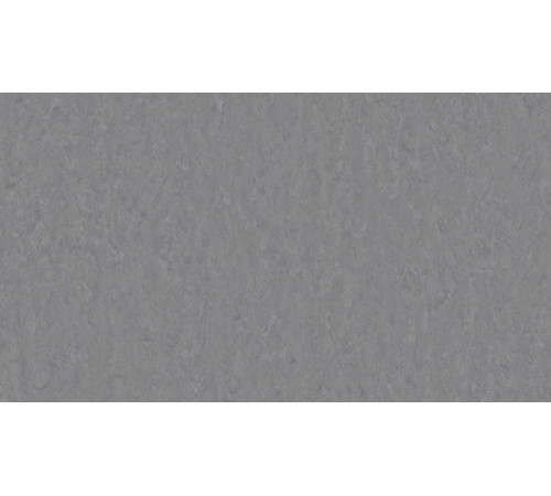 Лінолеум Tarkett VENETO xf²™ (2.0 mm) - Veneto STEEL 673