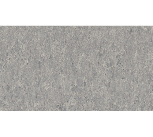 Линолеум Tarkett VENETO xf²™ (2.0 mm) - Veneto STORM 702