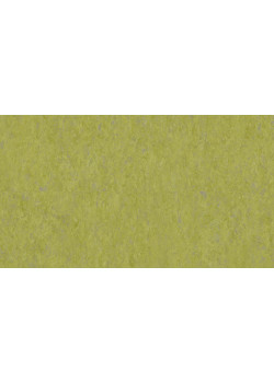 Линолеум Tarkett VENETO xf²™ (2.5 mm) - Veneto ABSINTHE 695