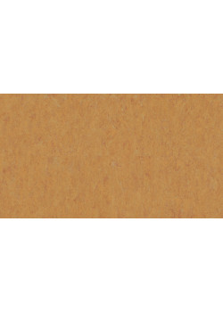 Линолеум Tarkett VENETO xf²™ (2.5 mm) - Veneto AMBER 636