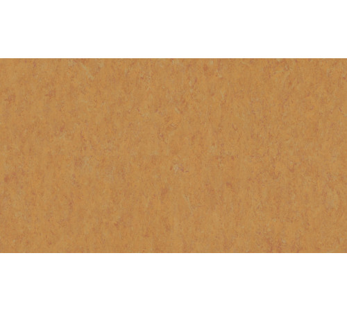 Линолеум Tarkett VENETO xf²™ (2.5 mm) - Veneto AMBER 636