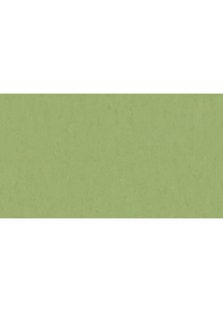 Линолеум Tarkett VENETO xf²™ (2.5 mm) - Veneto APPLE GREEN 754