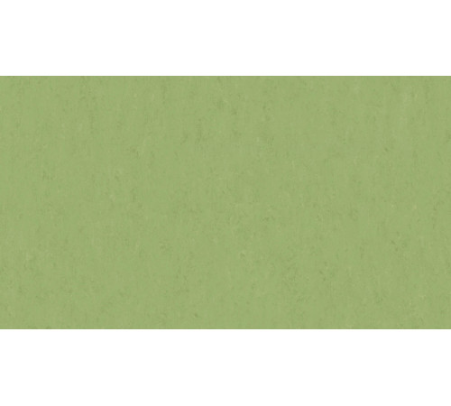 Линолеум Tarkett VENETO xf²™ (2.5 mm) - Veneto APPLE GREEN 754