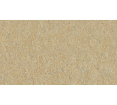 Линолеум Tarkett VENETO xf²™ (2.5 mm) - Veneto CAMEL 616