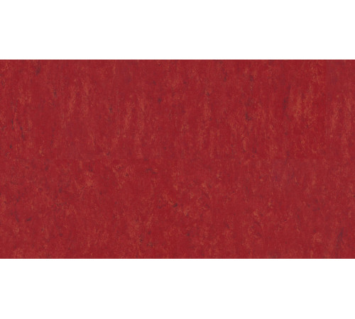 Линолеум Tarkett VENETO xf²™ (2.5 mm) - Veneto CARMINE 645
