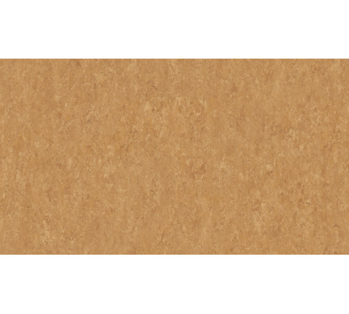 Линолеум Tarkett VENETO xf²™ (2.5 mm) - Veneto COPPER 634