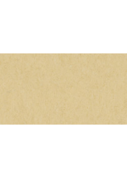 Линолеум Tarkett VENETO xf²™ (2.5 mm) - Veneto EGGSHELL 619