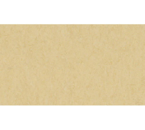 Линолеум Tarkett VENETO xf²™ (2.5 mm) - Veneto EGGSHELL 619