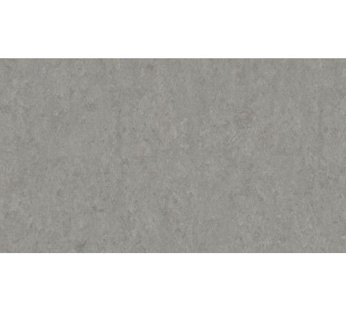Линолеум Tarkett VENETO xf²™ (2.5 mm) - Veneto FOG 703