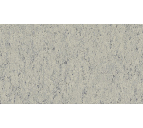 Линолеум Tarkett VENETO xf²™ (2.5 mm) - Veneto PLATINUM 684