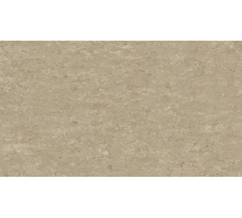 Линолеум Tarkett VENETO xf²™ (2.5 mm) - Veneto SILK 625