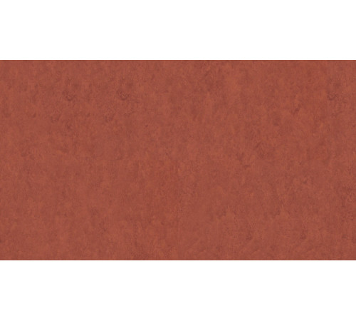 Линолеум Tarkett VENETO xf²™ (2.5 mm) - Veneto TERRACOTTA 641