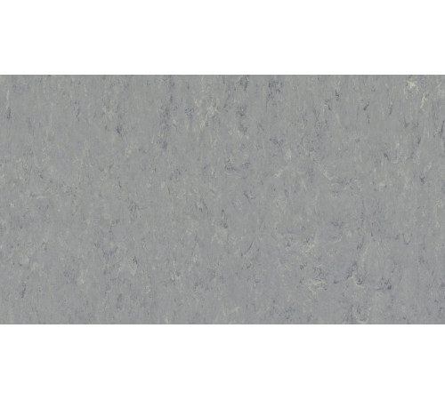 Линолеум Tarkett VENETO xf²™ (2.5 mm) - Veneto ZINC 671