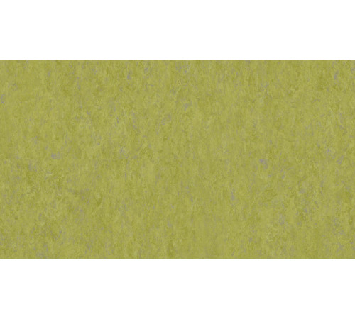 Линолеум Tarkett VENETO xf²™ (3.2 mm) - Veneto ABSINTHE 695