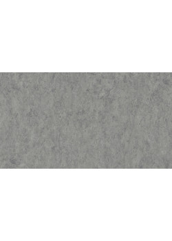 Линолеум Tarkett VENETO xf²™ (3.2 mm) - Veneto ALUMINIUM 672