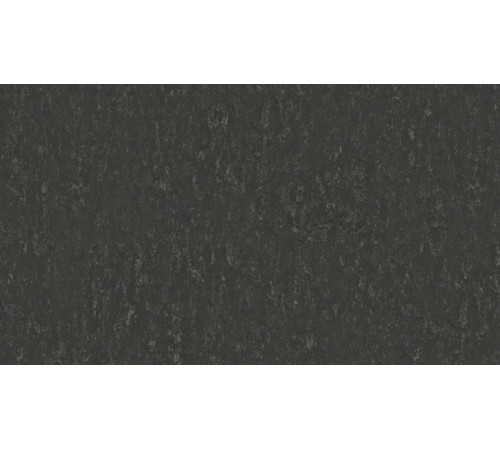 Линолеум Tarkett VENETO xf²™ (3.2 mm) - Veneto SLATE 674