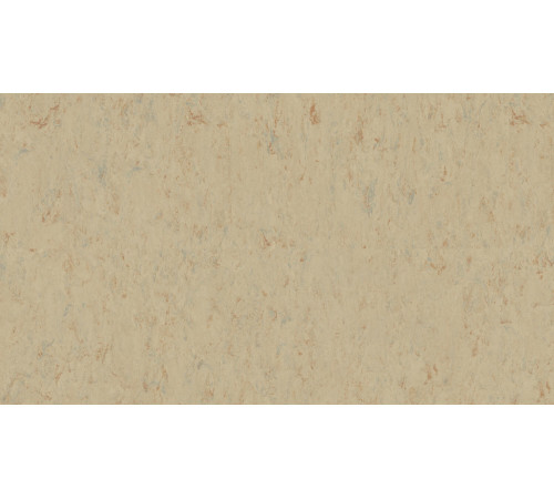 Линолеум Tarkett VENETO xf²™ (3.2 mm) - Veneto SISAL 611
