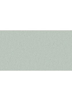 Линолеум Tarkett STYLE EMME xf²™ (2.5 mm) - Style Emme CAROLINA 760