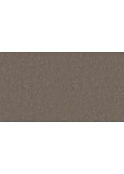 Линолеум Tarkett STYLE EMME xf²™ (2.5 mm) - Style Emme CEDAR 732
