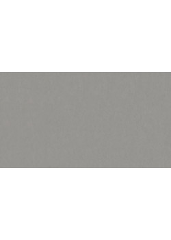 Линолеум Tarkett STYLE EMME xf²™ (2.5 mm) - Style Emme CEMENTO 202