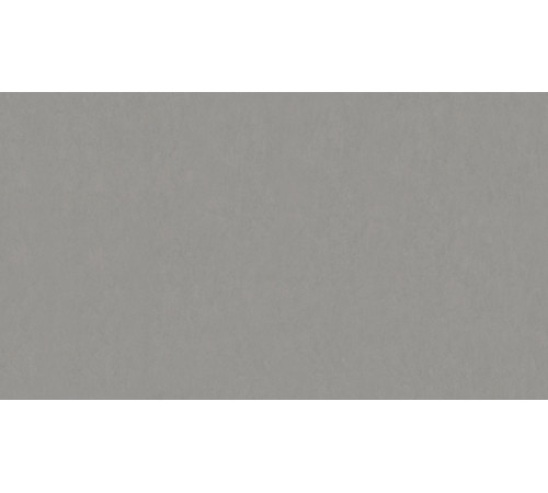 Линолеум Tarkett STYLE EMME xf²™ (2.5 mm) - Style Emme CEMENTO 202