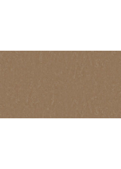 Линолеум Tarkett STYLE EMME xf²™ (2.5 mm) - Style Emme CINNAMMON 731