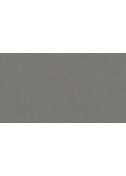 Линолеум Tarkett STYLE EMME xf²™ (2.5 mm) - Style Emme FERRO 205