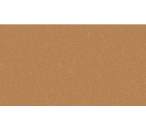 Линолеум Tarkett STYLE EMME xf²™ (2.5 mm) - Style Emme FOX 734