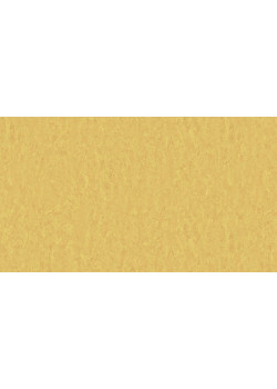 Линолеум Tarkett STYLE EMME xf²™ (2.5 mm) - Style Emme GOLD 728
