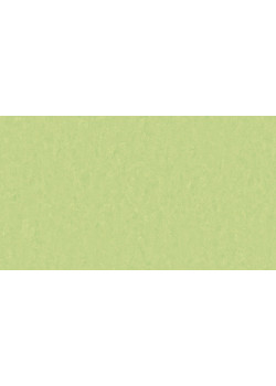 Линолеум Tarkett STYLE EMME xf²™ (2.5 mm) - Style Emme MOJITO 755