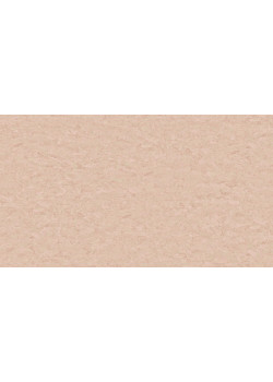 Линолеум Tarkett STYLE EMME xf²™ (2.5 mm) - Style Emme NUDE 723