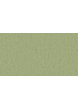 Линолеум Tarkett STYLE EMME xf²™ (2.5 mm) - Style Emme PEARS 753