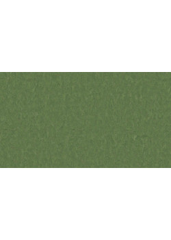 Линолеум Tarkett STYLE EMME xf²™ (2.5 mm) - Style Emme PINE 796
