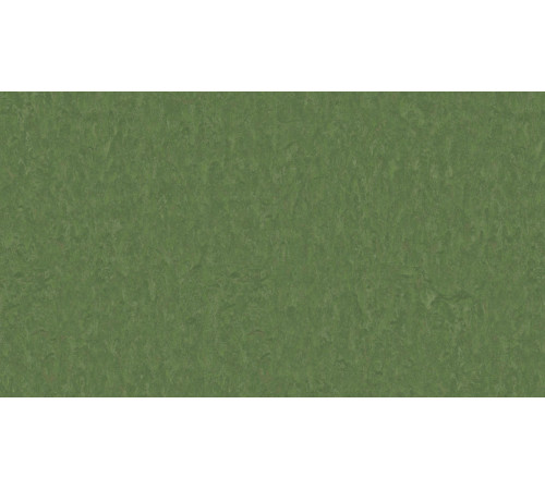 Линолеум Tarkett STYLE EMME xf²™ (2.5 mm) - Style Emme PINE 796