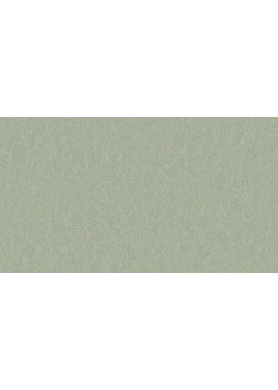 Линолеум Tarkett STYLE EMME xf²™ (2.5 mm) - Style Emme PISTACHIO 758