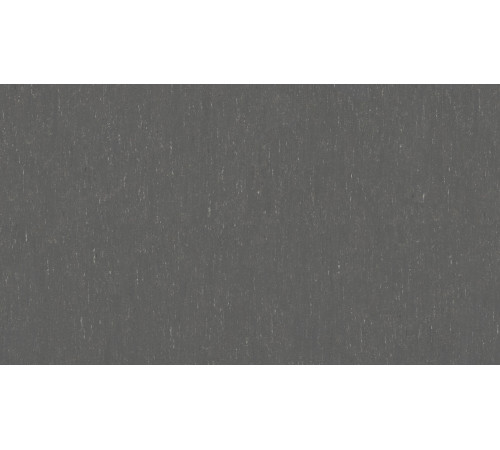 Линолеум Tarkett Trentino 2.5 xf2 - GREY PEPPER 503