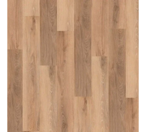 Виниловый пол Wineo 400 RLC Wood L Vivid Oak Nature (RLC283WL)