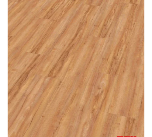 Виниловый пол Wineo 800 DB Wood Honey Warm Maple (DB00081)