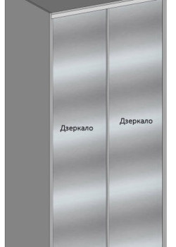 Шафа-купе на замовлення дводверна Дзеркало №48 15.01.2026