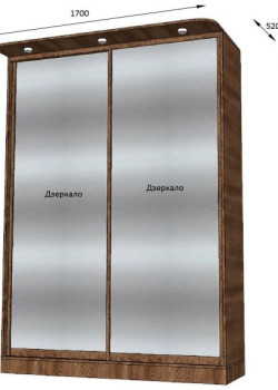 Шафа-купе на замовлення дводверна Горіх Дзеркало №7 06.12.2023