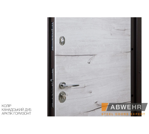 Вхідні Двері Cotage1 (KT1 з терморозривом) 448 Abwehr