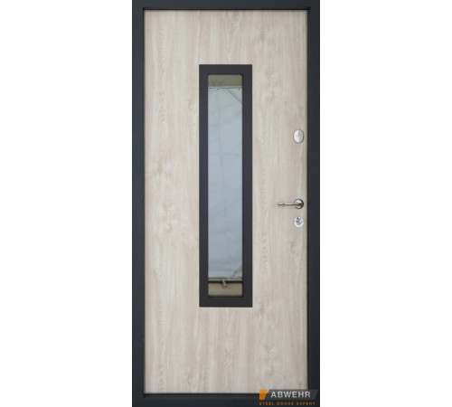 Вхідні Двері Defender (KTM) 408 Defender Glass RAL 7021Т Abwehr